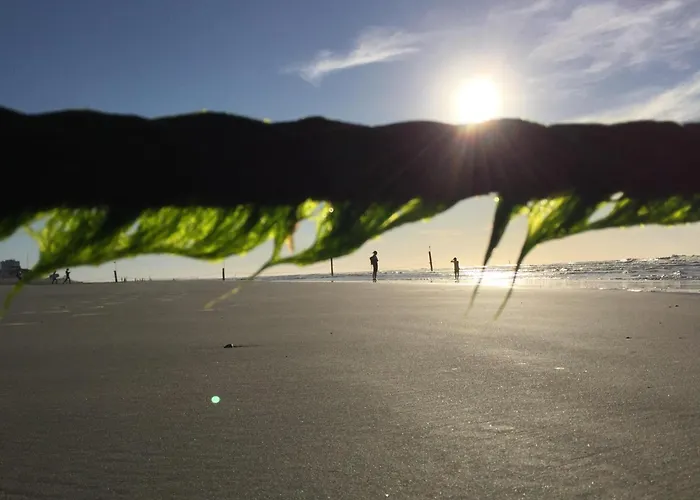 Haus Drei Jahreszeiten Whg. 4 Daire *